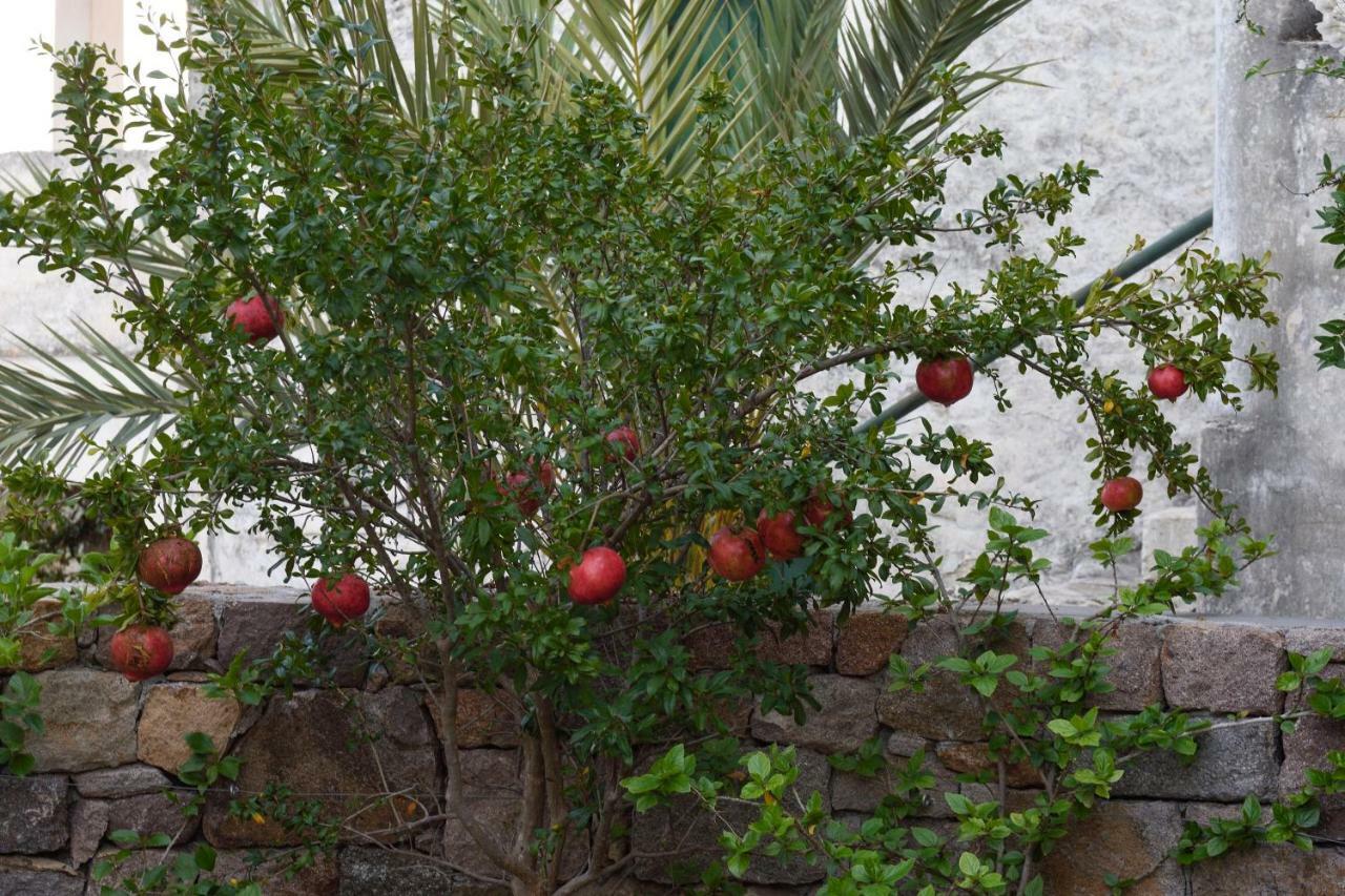 Aegina Dorfhaus Villa Pakhia Rakhi Екстериор снимка